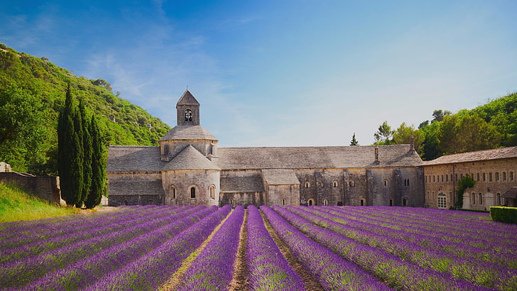 Provence Landscape, sky, travel destinations, senanque abbey, france Free HD Wallpaper