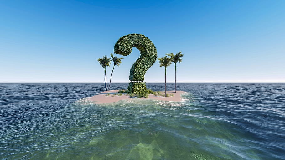 Question Mark Face Cartoon, palm trees, lost, idyllic, which Free HD Wallpaper