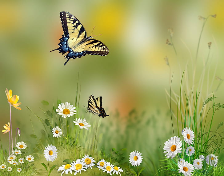 Spring Flowers with Butterflies, summer, papilionidae, yellow, tampa florida Free HD Wallpaper