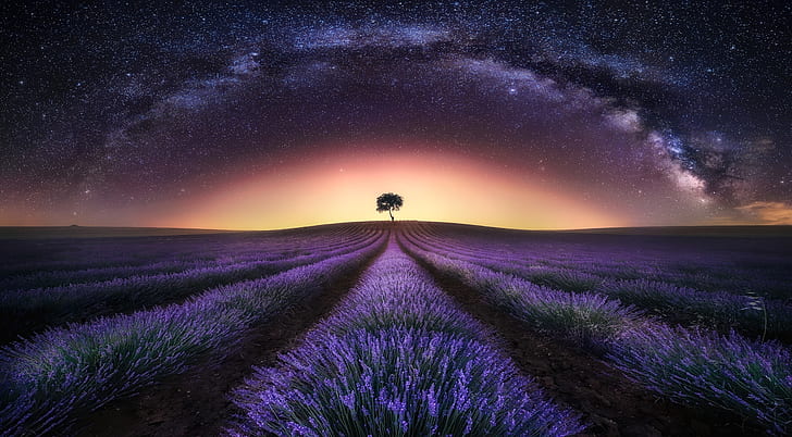 Summer Night, sky, nature, night, lavender Free HD Wallpaper