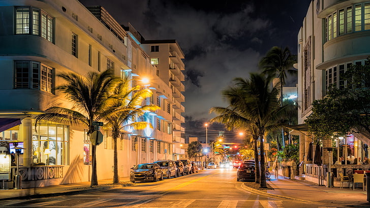 travel, nature, city life, palm tree