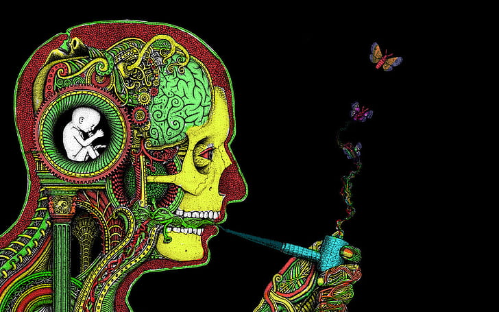 Trippy Weed HD, skull, mood, dark, psychedelic Free HD Wallpaper