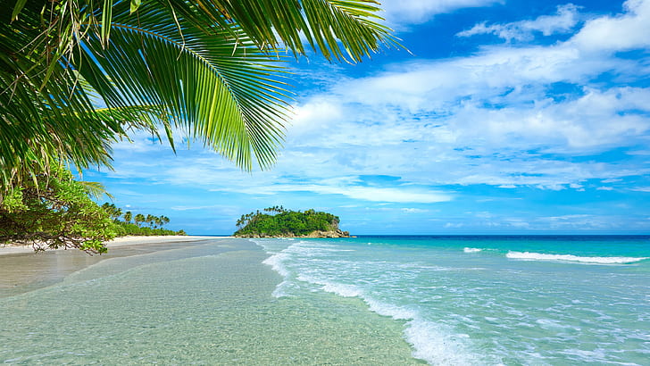 Tropical Beach Water Palm Trees, Blue, tropical,, and, blue Free HD Wallpaper