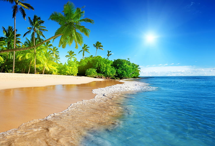 Tropical Island Girl, coconut palm tree, tropical climate, tree, nature Free HD Wallpaper