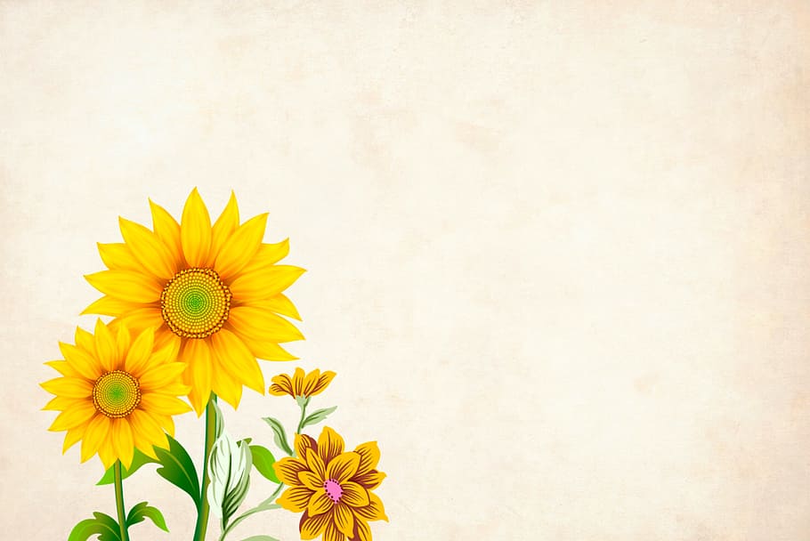 Wide Floral Borders, retro, wall  building feature, hand made, flower head Free HD Wallpaper