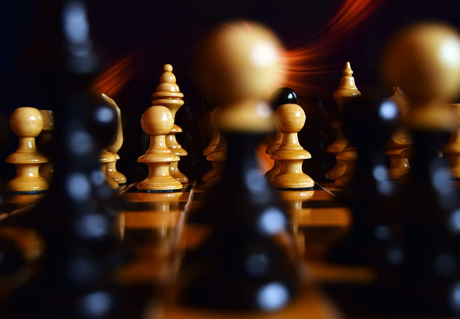 Wood Chess Knight, selective focus, skill, competition, chessboard Free HD Wallpaper